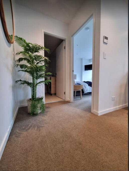Broadbeach Stunner Modern And Central 黄金海岸 外观 照片